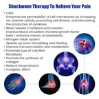 Electromagnetic Shockwave ED Therapy Machine Physiotherapy Pain Relief Muscle Relaxing Massager