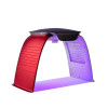 A1221 photon therapy 7 colorful led mask beauty instrument with steamer spray