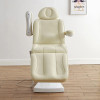 F085 Factory Wholesales Automatically Electric Beauty Salon Bed F085 Factory Wholesales Automatically Electric Beauty Salon Bed