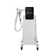 Vertical Ems Face Sculpting Machine And RF Ems Face Massager Lifting Machine / Neck Face Beauty Ems Facial Lifting Device